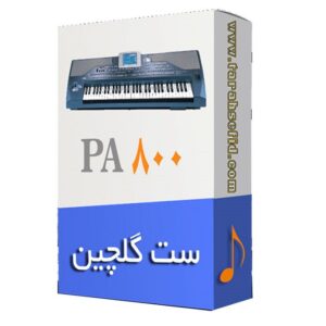 ست گلچین ارگ pa800